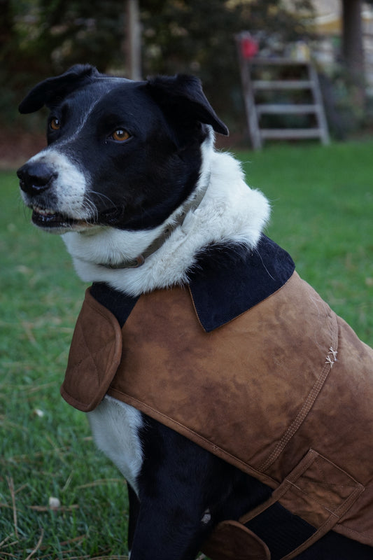Dog Work Coat